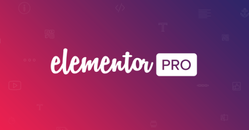 More information about "Elementor Pro"